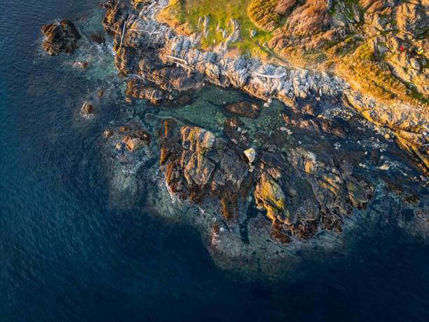 istock Harling Point, Vancouver Island, British Columbia Coastline 2136879679