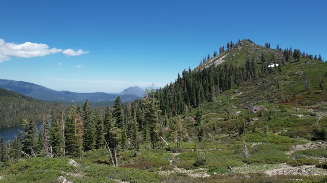 Aerial video of mount shastha wilderness