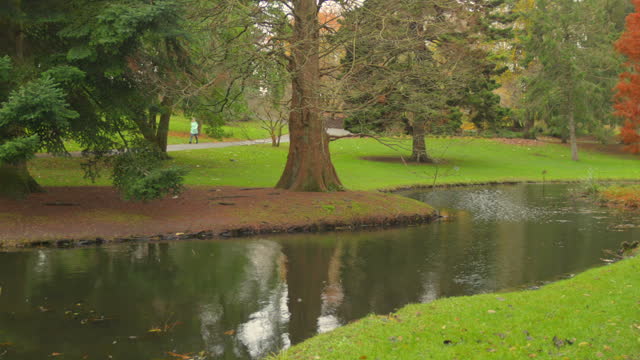 The water flows between the trees of the botanical gardens park in Dublin.