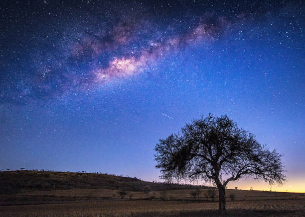 istock A Beautiful Mexico milkyway pictures 2136970150
