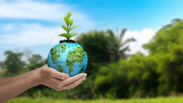 istock A human hand holding a globe with a growing plant 2136974801