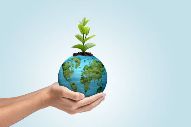 istock A human hand holding a globe with a growing plant 2136983630