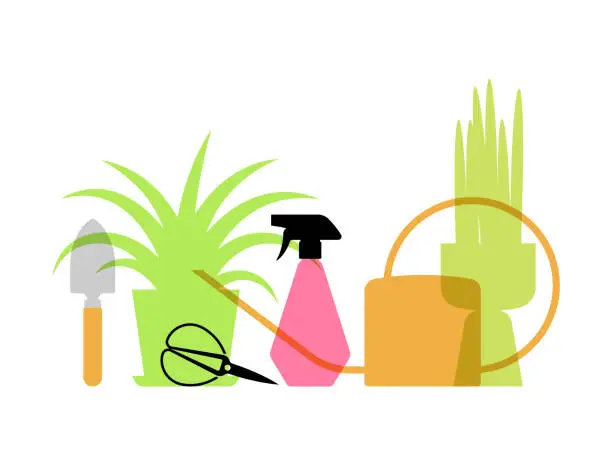Vector illustration of Growing house plants. Plants in pots, tools and supplies for gardening.