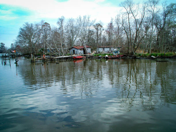 Moss hanging from trees alongside a marsh river and abandoned houses