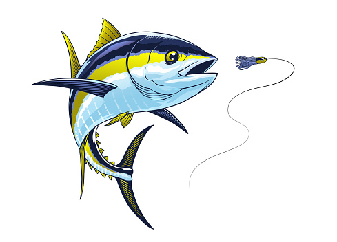 Vector of Yellowfin Tuna Fish Catching the Fishing Lure Realistic Illustration