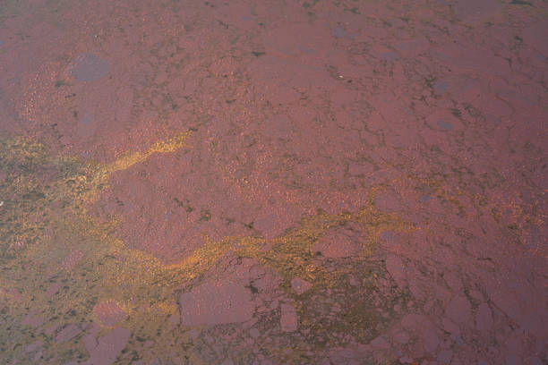 Dirty crude oil is splash on liquid surface due to oil spill to the environment accident. Background and texture, close-up and selective focus.