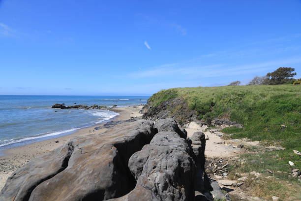 istock Tar Pits Park at Carpinteria Beach, California 2137070967