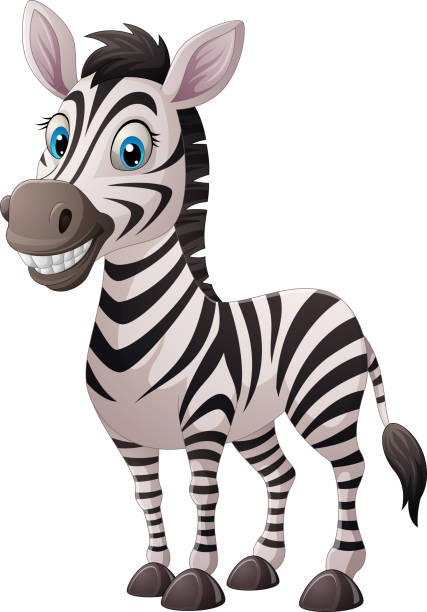 ilustrações de stock, clip art, desenhos animados e ícones de cute baby zebra isolated on white background - 13520