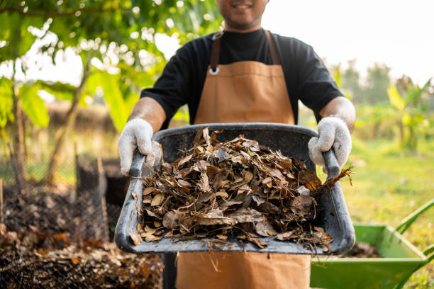 istock Farmer man working on field compost with dried leaf. Organic fertilizer for agriculture sustainability 2137089819