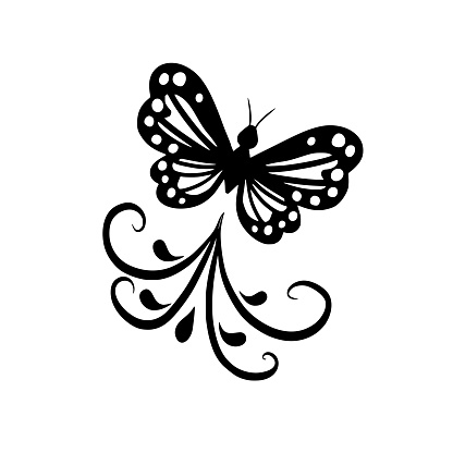 Butterfly silhouette flourished line ornament illustration black art vector