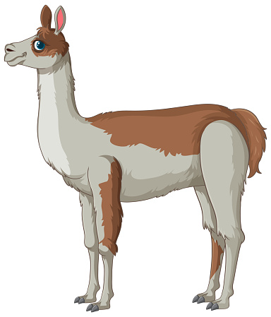 Colorful cartoon llama standing in profile view