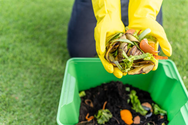 Ecology compost supply Kitchen waste recycling composter environmentally friendly. The young man throws leftover fruit peel egg shell and vegetables reduce waste stock photo