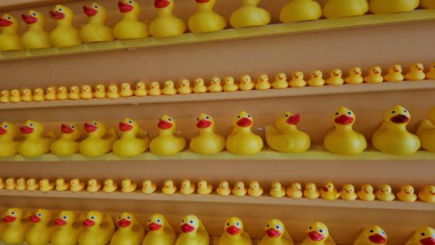 istock Row of Yellow Rubber Ducks on Shelf 2137131914