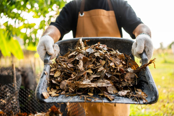 istock Farmer man working on field compost with dried leaf. Organic fertilizer for agriculture sustainability 2137131919