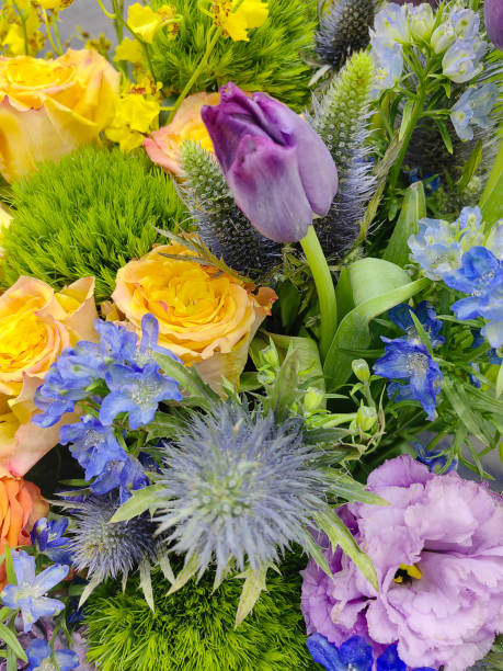 istock Beautiful and fresh spring flowers background 2137137723