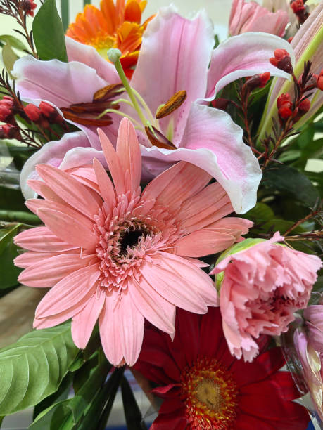 istock Beautiful and fresh spring flowers background 2137137733