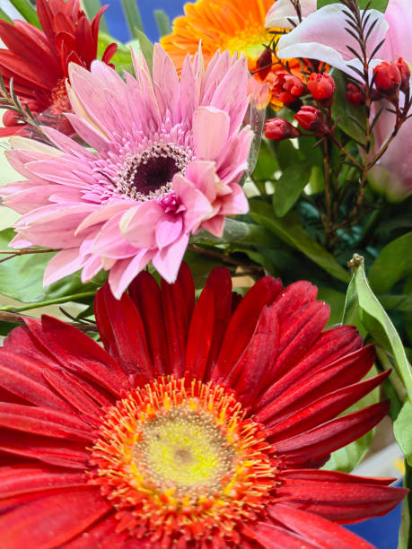 istock Beautiful and fresh spring flowers background 2137138281