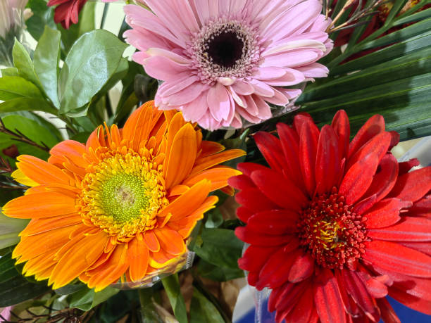 istock Beautiful and fresh spring flowers background 2137139419