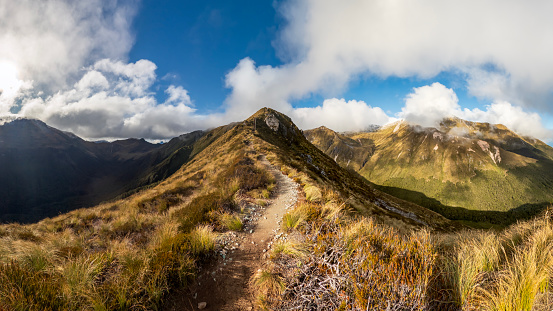 Kepler Track Panorama: Expansive Wilderness Landscape Revealing Majestic Mountain Vistas and Tussock-Covered Peaks in Fiordland National Park, New Zealand