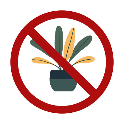 Vector forbidden sign with ficus isolated from background. Risk of poisoning. Do not pick or eat plants. Planting flowers is prohibited.