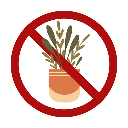 Vector forbidden sign with greenery in pot isolated from background. Risk of poisoning rom house plants. Do not pick or eat flowers. Planting flowers is prohibited.
