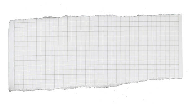 paper has grid lines torn into pieces  isolated on white background