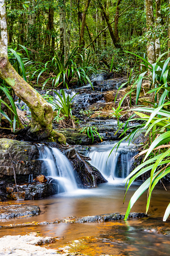 Clear waterfall with fresh running water in a rainforest. Potable drinking water in a natural stream, brought by rain and filtered through rocks and sand. High up in the mountains, planetary health and sustainable practices are important to maintain these environments.