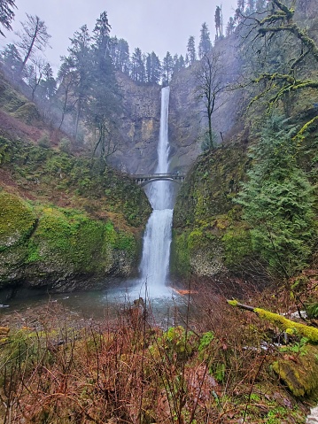 A drizzly day at Multnomah Falls, Oregon