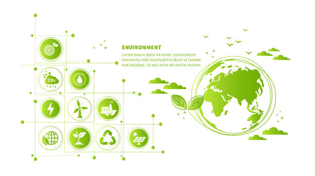 istock World environment and sustainable development concept with ecology doodle icons in gear, vector environment, eco friendly, green technology and ecology symbols. isolated vector in flat style 2137299118