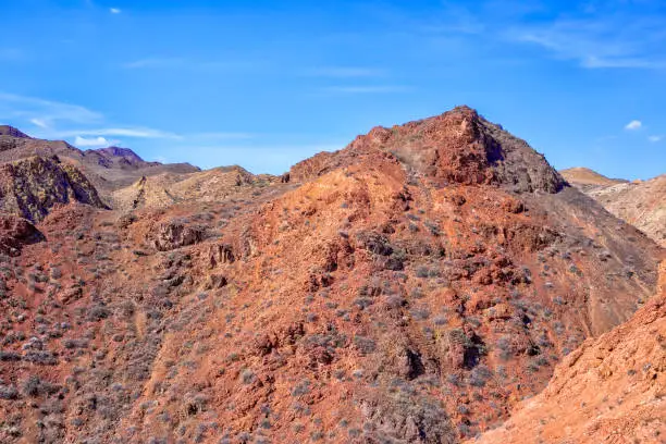 Photo of The huge Charyn Canyon in the desert of Kazakhstan. Beautiful lonely rocky hill with sparse vegetation in the desert under the scorching sun against the backdrop of light clouds with a blue sky