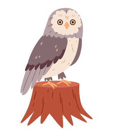 Owl sitting on a tree stump.