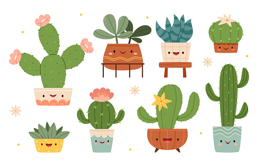 Set of cute cartoon cactus and succulents with funny faces in pots and with plants