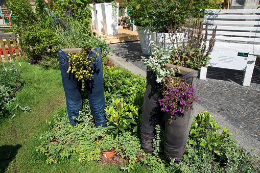 Breslau, Poland - 16 Jun 2018: Whimsical plantings of colourful flowers in stuffed denim trousers.