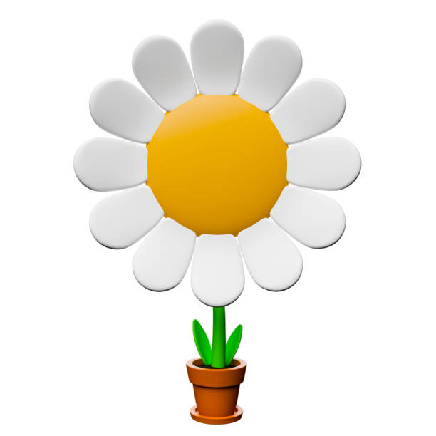 istock Small cartoon flower in a pot isolated on white background 2137337695