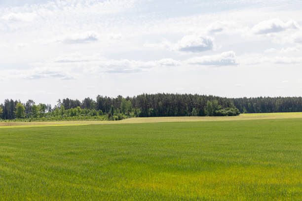 istock cereal growing business in eastern europe 2137340788