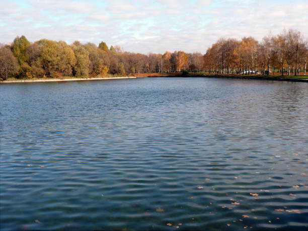 istock autumn in city park 2137355563