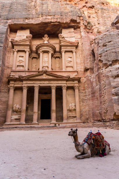 istock Dromedary in front of the Treasury, Jordan 2137372792
