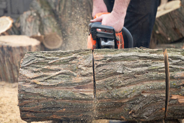 istock man cuts wood with a saw 2137379324