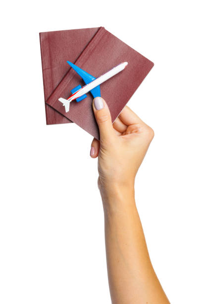 istock Hand holding passport isolated on white 2137406386