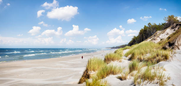 Indiana Lakeshore Dunes