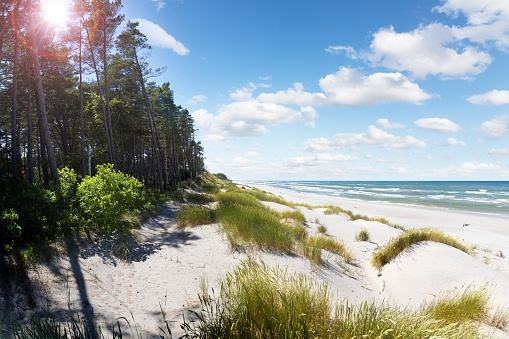 View to beautiful landscape with beach and sand dunes near Henne Strand, North sea coast landscape Jutland Denmark