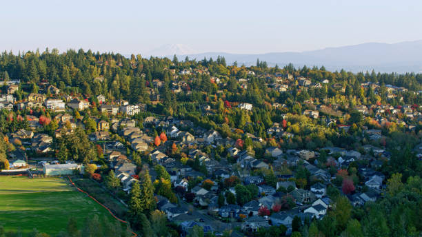 istock Nice neighbourhood in Oregon on a sunny afternoon 2137427343