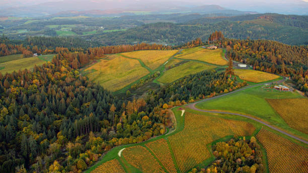 istock Scenic view of agricultural fields on hill 2137427880