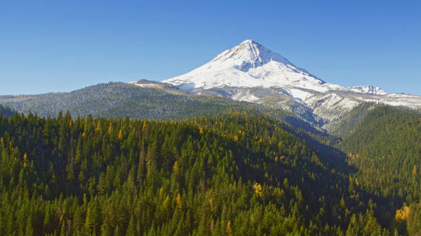 istock Scenics view of forest with Mt. Hood 2137428428