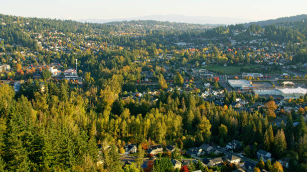 istock Nice neighbourhood in Oregon on a sunny afternoon 2137429547