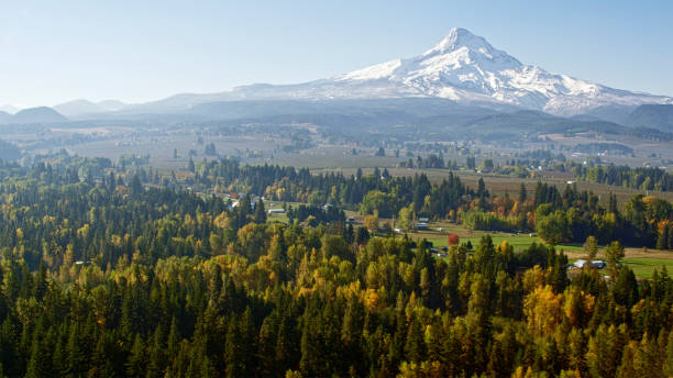 istock Scenics view of forest with Mt. Hood 2137430670