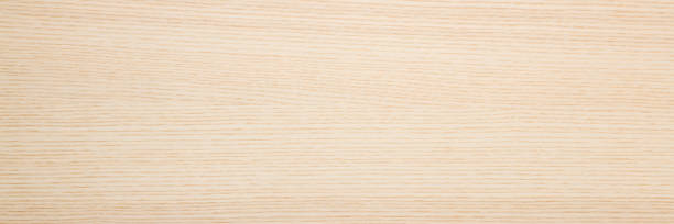 Light ash veneer wooden surface background. Closeup. Empty place for text. Wide banner. Top down view.