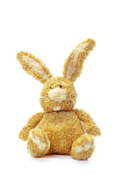 istock toy bunny sitting isolated 2137461526