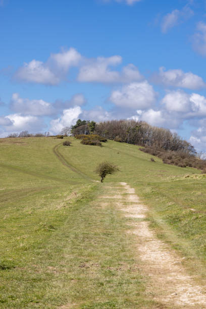 istock Looking along a pathway at Blackcap in the South Downs, on a sunny early spring day 2137467873