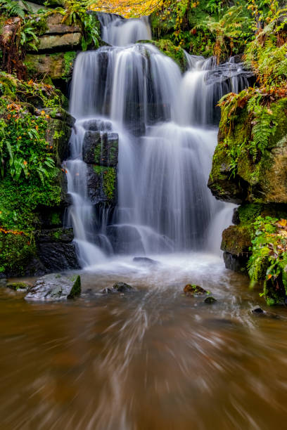 A long exposure photograph of a stream of running water.